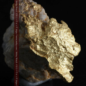 12.03gの非常に珍しいリーフ状のゴールドを冠した石英と自然金・ゴールドナゲット《商品番号G0327》