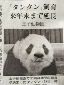 タンタン 王子動物園 新聞 ジャイアントパンダ