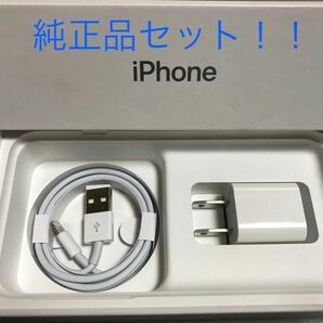 iPhone充電器 ライトニングケーブル 1本 1m 純正品アダプタセット