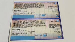 6月9日(日) 阪神vs西武　甲子園ライト外野指定 3段目2連番