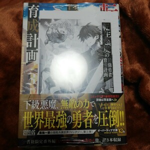 小説特典付き　転生悪魔の最強勇者育成計画　3