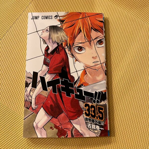映画ハイキュー 入場者特典　　ハイキュー！！33.5巻もう一回！　小冊子