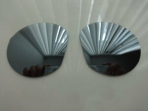 処分価格！OAKLEY ハウストン HSTN　009464用 カスタム偏光 レンズ SILVER Color