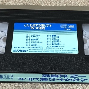 とんねるず VHS ビデオ 「 とんねるずの裏ビデオ IN 武道館 」 石橋貴明、木梨憲武の画像3