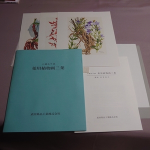 【印刷物】 小磯良平 薬用植物画三葉 シャクヤク キキョウ ナンテン 武田薬品 / 小磯良平 薬用植物画 三葉