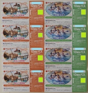  Tokyo summer Land 1Day Pas 8 листов * Tokyo Metropolitan area скачки акционер пригласительный билет * скачки место гостеприимство доказательство есть 