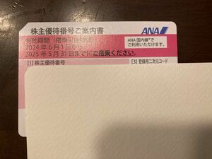 ANA全日空株主優待券 有効期限 2025年5月31日　送料無料