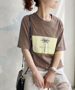 「Cabana」 半袖Tシャツ 36 ブラウン レディース