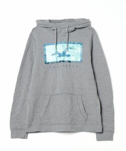 「Hollister」 プルオーバーパーカー L グレー メンズ