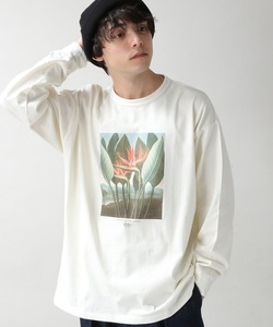 「RAGEBLUE」 長袖Tシャツ「NEWYORK BOTANICAL GARDENコラボ」 LARGE ホワイト メンズ