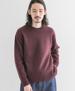 「URBAN RESEARCH」 長袖ニット MEDIUM パープル メンズ