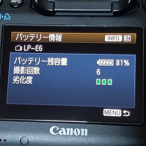 EOS 5D Mark III ボディ 総ショット数8873回の画像10