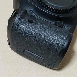 EOS 5D Mark III ボディ 総ショット数8873回の画像3