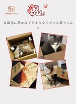 キャットハウス キャットピアキャットハウス　カードボードキャットハウス　猫ダンボールハウス 紙製段ボール箱 猫用爪とぎ 猫用 猫ハウス_画像10