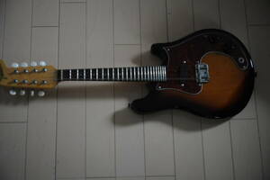 ! fender japa limitated production model!Fender Japan 8strings Electriec Mandollin!! finally could do!
