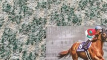 競馬　マイネルホウオウ　Meiner Ｈｏ O　2013 ＮＨＫマイルカップ ＧⅠ　ＱＵＯカード　クオカード　５００　【送料無料】_画像5