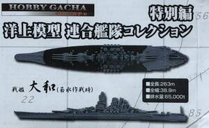 1/2000 大日本帝国海軍 超弩級戦艦 大和型戦艦1番艦 「 大和 」 菊水作戦時 ♯ 洋上模型 連合艦隊コレクション 特別編　4