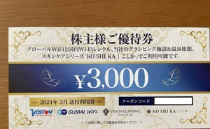 ★ナビ通知無料★　ビジョン　 株主優待券３０００円分×２枚　グローバルWiFi　グランピング　こしか　２０２５年３月末