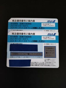 ANA株主優待券　２枚組　有効期限2024年5月31日 (番号通知のみ)