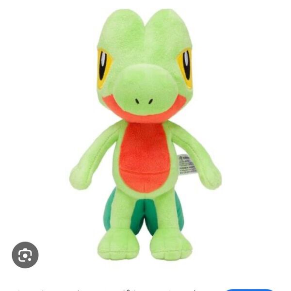 ポケモン ぬいぐるみ キモリ