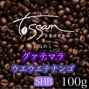 お試し 自家焙煎 珈琲豆 100g グァテマラ SHB ウエウエテナンゴ地区 即日焙煎