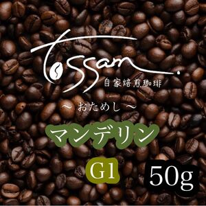 お試し 自家焙煎 珈琲豆 50g マンデリン G1 インドネシア 即日焙煎