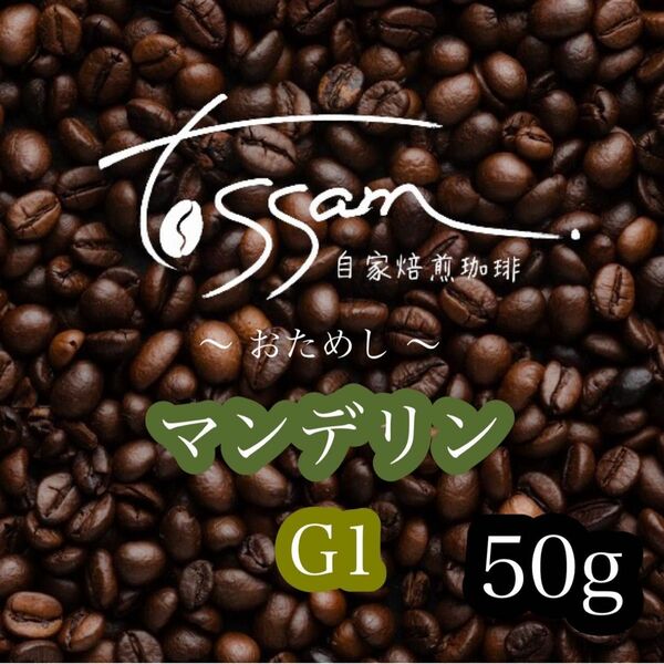 お試し 自家焙煎 珈琲豆 50g マンデリン G1 インドネシア 