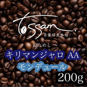 お試し 自家焙煎 珈琲豆 200g キリマンジャロ AA モンデュール 即日焙煎