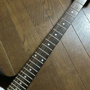 バーニー ノンリバース ファイヤーバード. Burny FB Firebird USED品の画像3