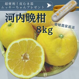 河内晩柑　家庭用8kg愛媛県産　訳あり　送料無料柑橘　みかん和製グレープフルーツ　農家直送　皮むき器ムッキーちゃんプレゼント　