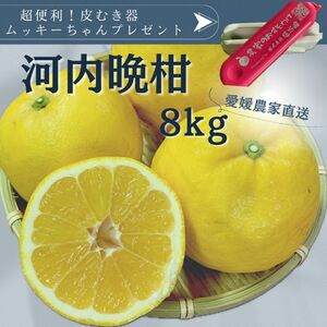 河内晩柑　家庭用8kg愛媛県産　訳あり　送料無料柑橘　みかん和製グレープフルーツ　農家直送　皮むき器ムッキーちゃんプレゼント　