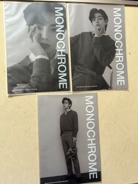 テテ V MONOCHROME プリントフォト3枚セット