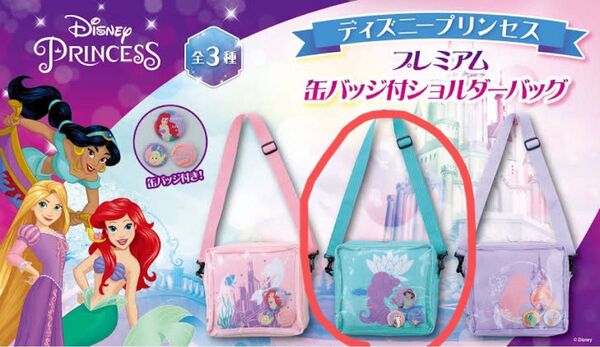 ラウンドワン限定 ディズニープリンセス ジャスミン