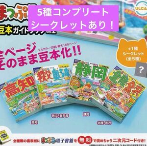 ガチャガチャ　まっぷる 豆本ガイドブック vol.2 5種コンプリート