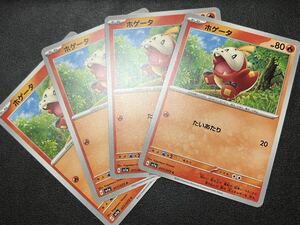 ◯【超美品4枚セット】ポケモンカードゲーム 017/073 sv1a ホゲータ ポケットモンスター トリプレットビート ポケカ スカバイ POKEMON