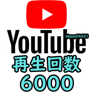 【収益化可能】Youtube 再生回数 6000回 減少生涯保証 収益化可能 操作不要 URLのみでOK / ユーチューブ 再生数 視聴回数 