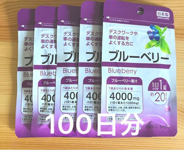 サプリメント ブルーベリー 100日分 日本製 サプリ
