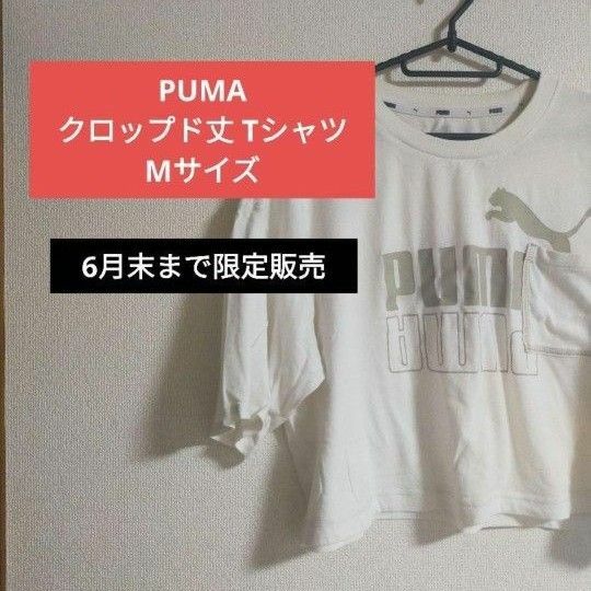 PUMA レディース Tシャツ 半袖 クロップド丈 へそ出し