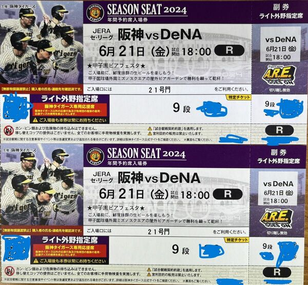 6/21(金)阪神 vs DeNA 甲子園 外野指定席ライト側 9段 2枚連番