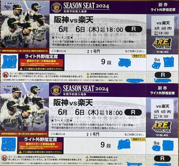 6/6(木)阪神 vs 楽天 甲子園 外野指定席ライト側 9段 2枚連番