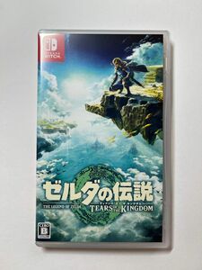 【Switch】ゼルダの伝説 Tears of the Kingdom [通常版]