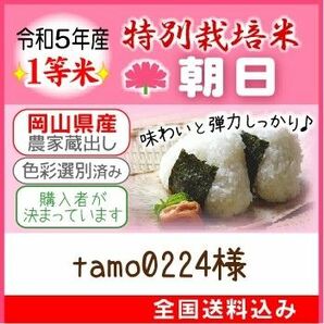 tamo0224様専用【特別栽培米 朝日】10kg