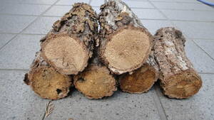* Gifu prefecture production natural . tree ..[ good quality soft sawtooth oak, /nala material ] leather la material 6 pcs set control 41*
