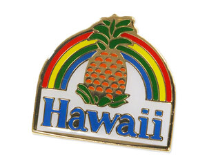 ピンバッジ ピンバッチ ピンズ ハワイ 雑貨 おしゃれ かわいい かっこいい アメカジ アメリカ アメリカン雑貨 パイナップルレインボー