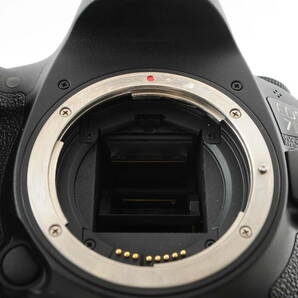 ★極美品★ Canon キヤノン EOS 7D MarkⅡマーク2 箱付き バッテリーグリップ付きの画像10