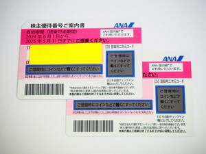 ★ANA株主優待券 2枚セット★有効期限：2024年6月1日～2025年5月31日★(検索：全日空/飛行機/旅行/チケット/航空券/国内線) 73776