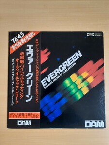 エバーグリーン　30cm45回転ハイレベルカッティング　オーディオ チェック レコード (非売品)