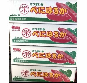 JAかとり　千葉産　完熟紅はるか　秀品　5キロ4箱セット合計 20キロ　甘さ最高