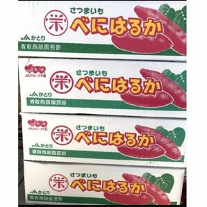 JAかとり　千葉産　完熟紅はるか　秀品　5キロ4箱セット合計 20キロ　甘さ最高