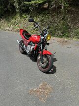 ホンダ HONDA ジェイド250 MC23 CBX仕様 実動 低走行 美車 現状車 書類あり　始動動画あり(検.CBX.バリオス.ゼファー.GSX.VT.VTZ._画像2